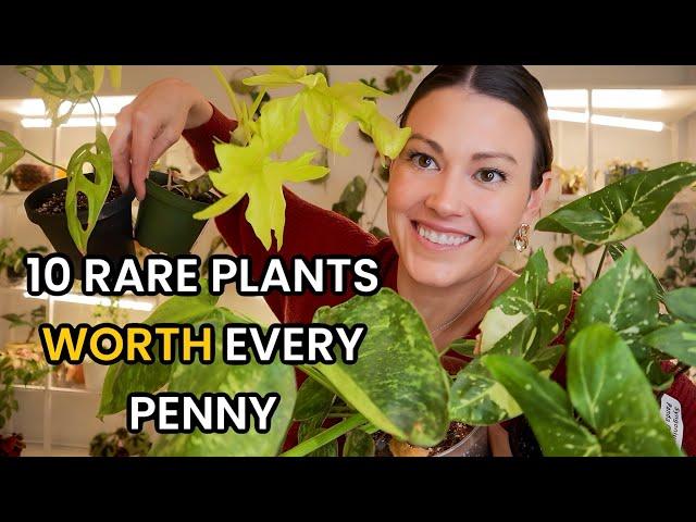 10 Rare Plants WORTH Every Penny - Uncommon Houseplants That You Will Love