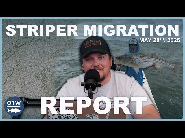 Striper Migration Report | May 28th 2025