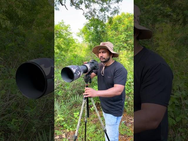 "Explore Jungle Birds – Wildlife Photography in Action" #birds #photography #vibrantbirds #rarebird
