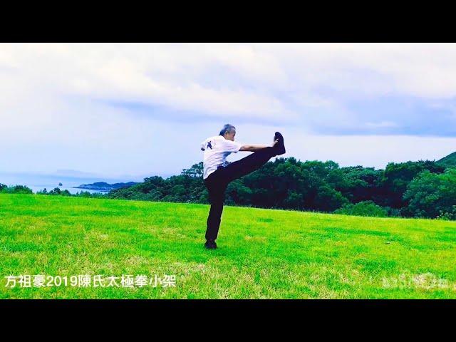 方祖豪2019陳氏太極拳小架練習記錄