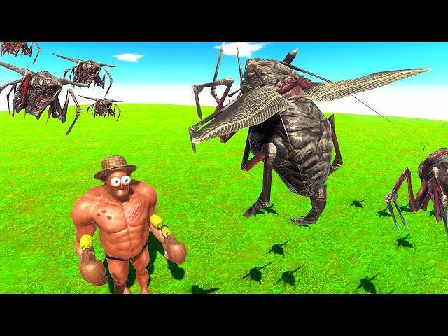 NEW Swarm Bug and Boxing Gloves?! - Animal Revolt Battle Simulator