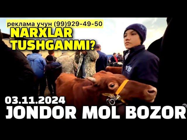 BUXORO JONDOR MOL BOZOR 03.11.2024./ YOSH BUQACHA GUNOJIN NARXLAR.