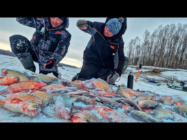 ДВА ГОДА ИСКАЛ ТАКУЮ РЫБАЛКУ! Крупные лопаты на тяжелые мормышки! Нарвались на стаю леща!