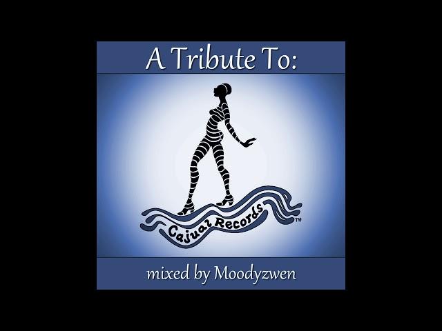 010 - A Tribute To Cajual Records   mixed by Moodyzwen