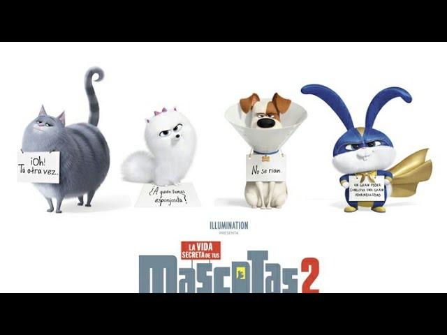 La vida secreta de tus mascotas película completa en español 