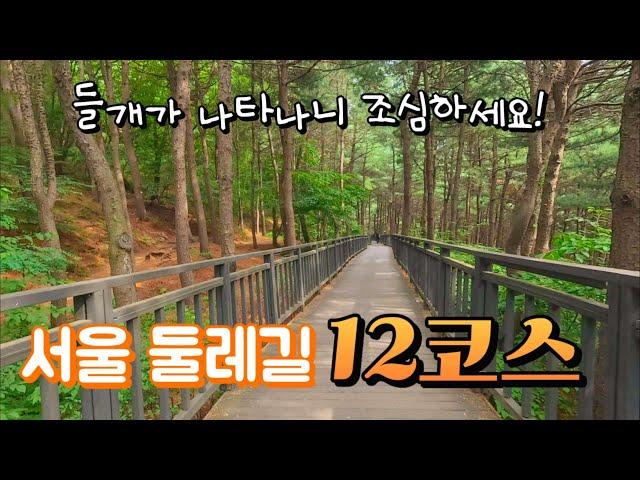 새로워진 서울둘레길 2.0 / 12코스 7.3km 걸어보기 / 관악산역에서 석수역까지 / 호암산코스