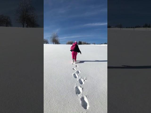 Красота по Швейцарски