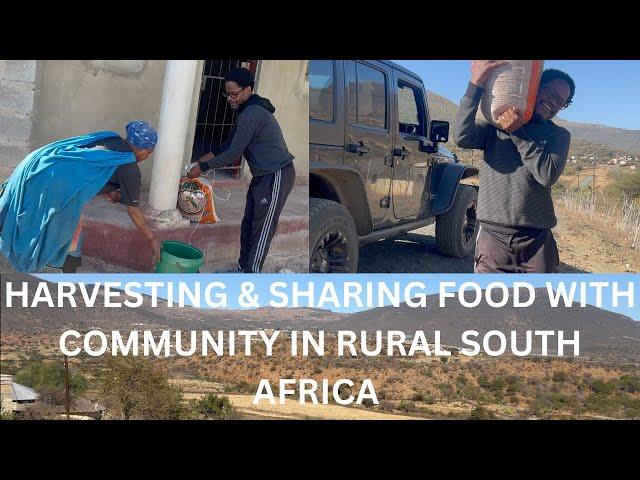 BIG SURPRISE | harvesting & sharing food with the village community in rural South Africa