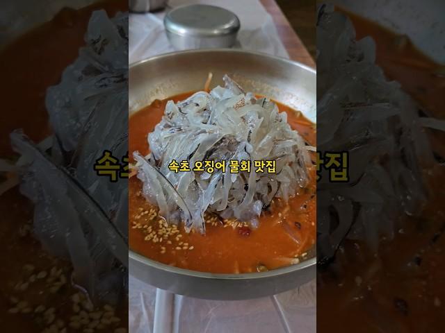 속초 오징어 물회 맛집 #속초맛집 #완도회식당 #오징어회 #물회