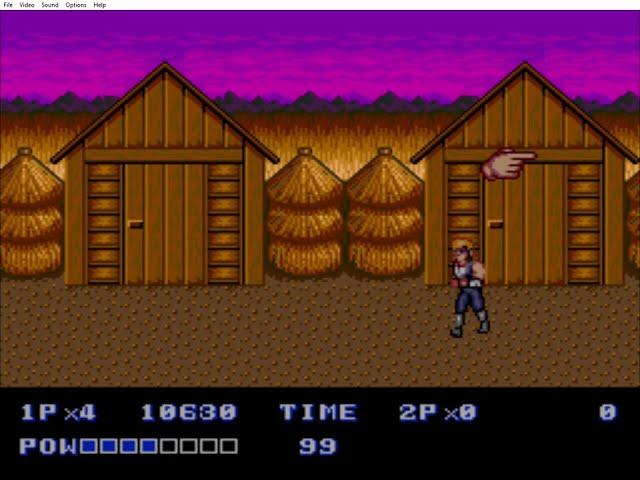 Double Dragon 2 The Revenge God Mode (Double Dragon 2 The Revenge Hack)