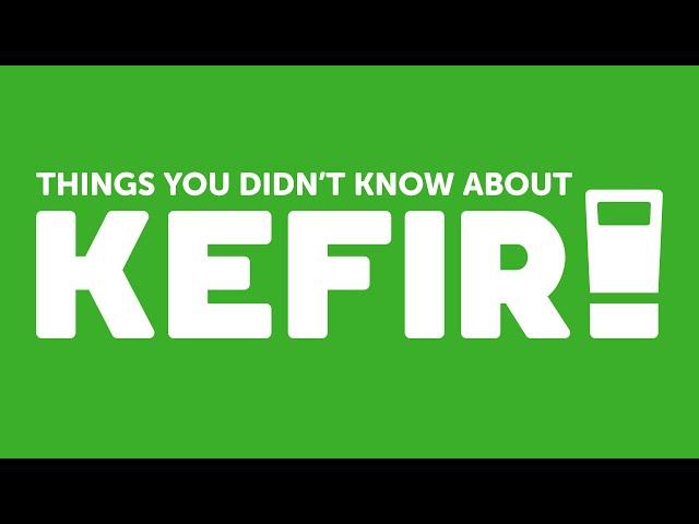 Kefir - Things you didn't know about Kefir Games