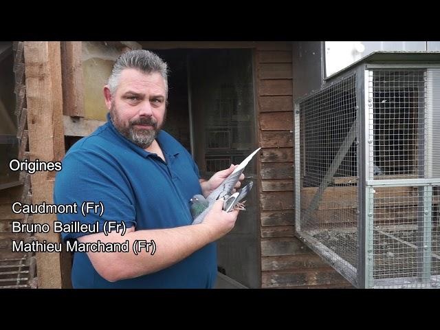 Pigeon-master: Franck Olivier Marchand (groupement de Lille)