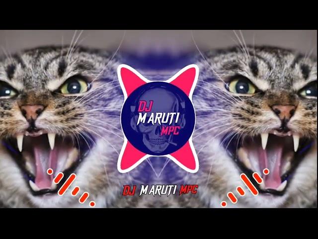 CAT × SOUND EDM TRANCE DJ MARUTI MPC DHARWAD