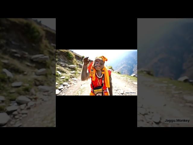 monkey pahuncha Mata Vaishno #Devi ke #darshan# karna#blogger #
