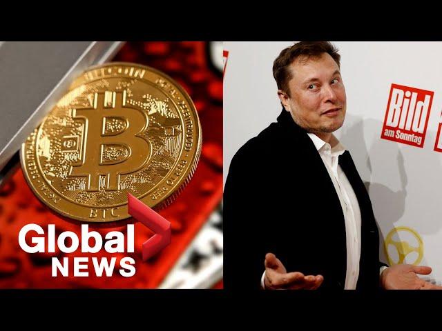 Bitcoin rallies from price plunge after Elon Musk's tweet shakes crypto market