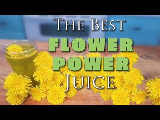 DANDELION FLOWER JUICE - 115x Better Than the Roots & Leaves