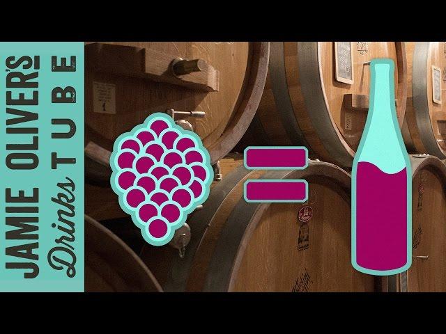 How is Wine Made? | Luca Dusi