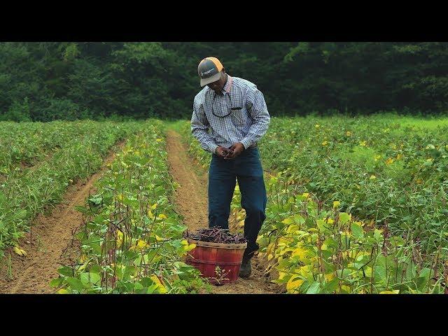 Texan, Student, Farmer