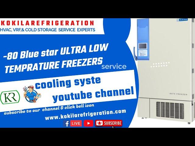 -80 blue star deep freezer repair /-80ultra low temperature/freer repair and maintenance