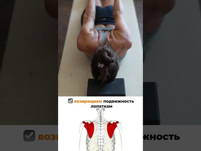 #упражнения которые ИЗМЕНЯТ ВАШУ ЖИЗНЬПодпишись и вступай в закрытый канал#спина #упражнениядляног
