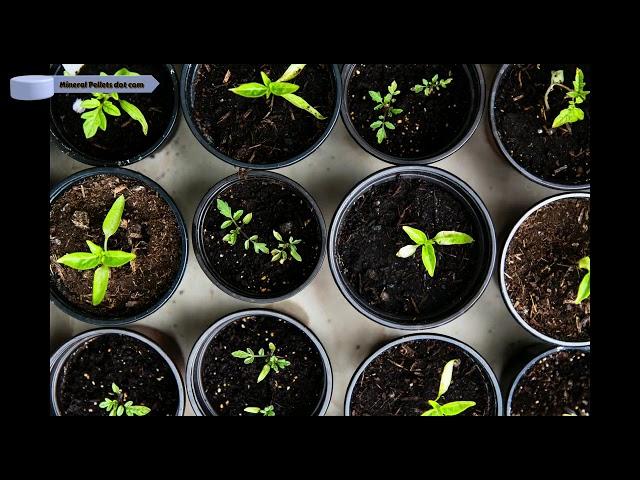 For a bigger harvest this year with up to 30 percent increase and more nutritious crop harvest yield