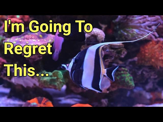 Adding Fish And Corals | Red Sea Reefer S-850 G2+ Episode 5