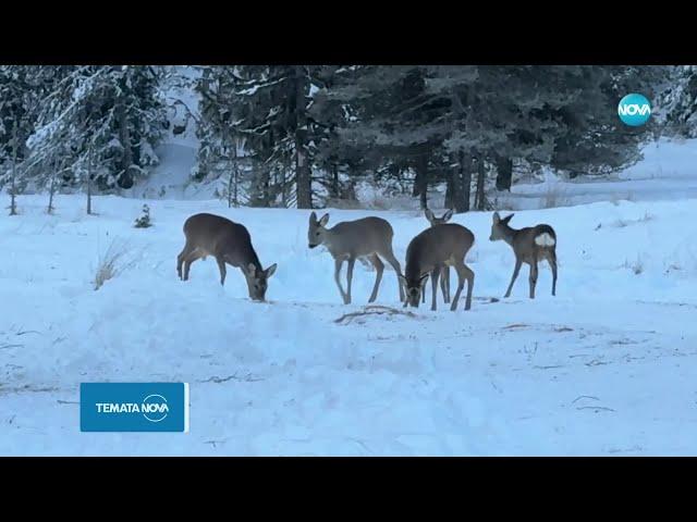 Темата на NOVA: „Време за туризъм” (23.11.2024)