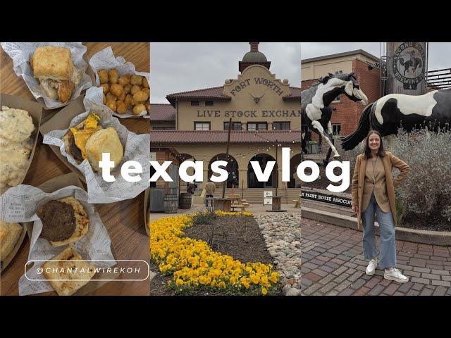 3 days in dallas | texas bbq, fort worth stock yards, cafes & shopping