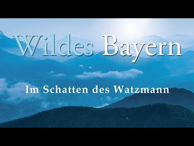 Wildes Bayern - Im Schatten des Watzmann