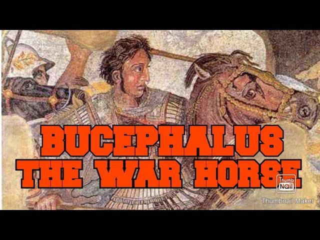 BUCEPHALUS, ANG MANDIRIGMANG KABAYO NI ALEXANDER THE GREAT
