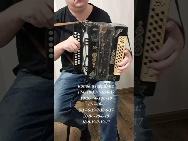 #гармошка #генералыпесчанныхкарьеров ноты цыфрами на гармошке