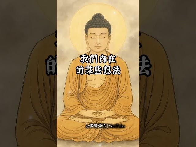 「三種心念，讓你病得更深？」#佛音覺悟 #佛法療癒 #身心靈修行 #佛陀智慧 #心病#清淨自在 #佛法日常 #轉念之力 #佛教短片 #佛法影片#南無阿彌陀佛 #因果法則 #修心養性 #正念生活