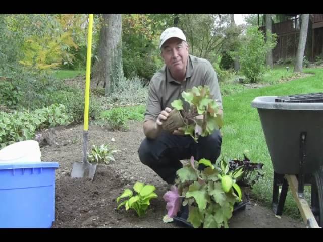 How to plant the eco-friendly plants from Footprints® Plants