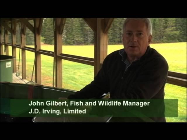 JDI Atlantic Salmon and Brook Trout Conservation