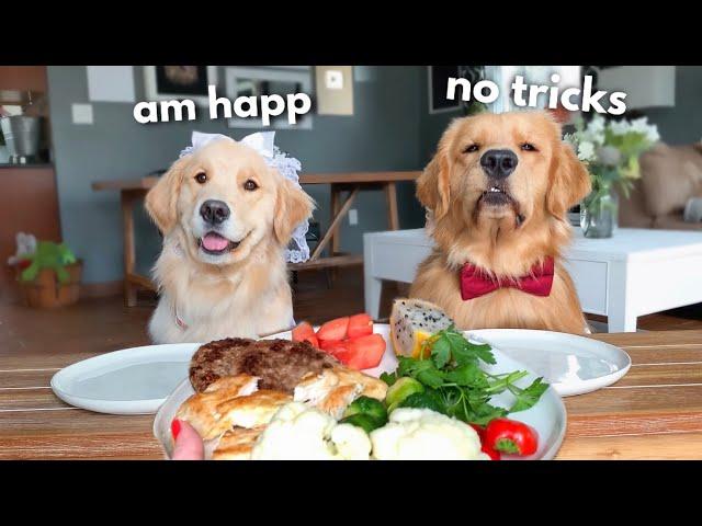 Dog Reviews Food With Wife | Tucker Taste Test 18