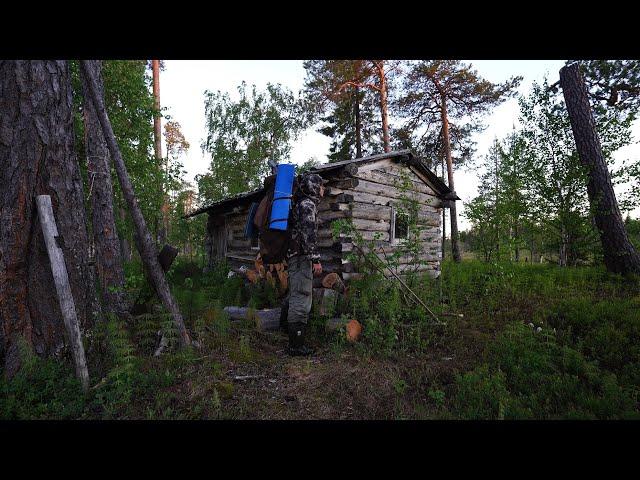 ЗАНОЧЕВАЛ В ЧУЖОЙ ИЗБЕ. ПОХОД НА ТАЕЖНОЕ ОЗЕРО. ПОХОДНАЯ КУХНЯ. РЫБАЛКА.