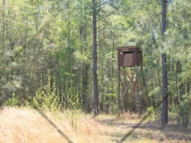 SC Hunting Retreat: Land For Sale (Price Reduced)