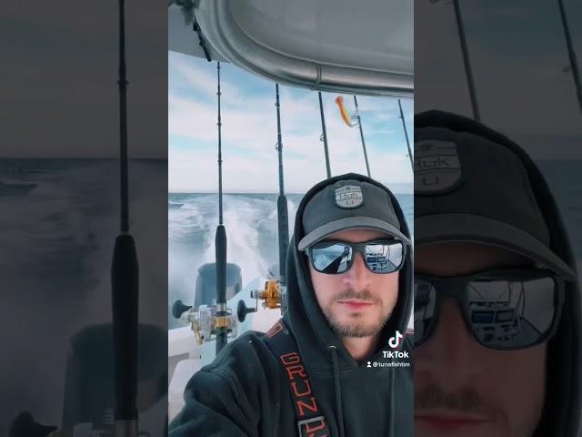 Big eye tuna