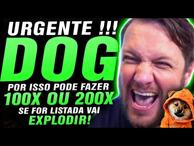  100X A CRIPTOMOEDA QUE PODE APOSENTAR E FAZER MILIONÁRIOS ATÉ 2025 DOG TO THE MOON AUGUSTO BACKES