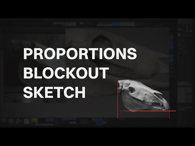 Anatomy talks - How to start a blockout, proportions, sketching