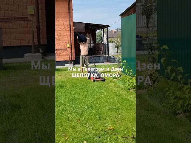 Муж без комплексов Мы в Телеграм ЩЕПОТКА ЮМОРА