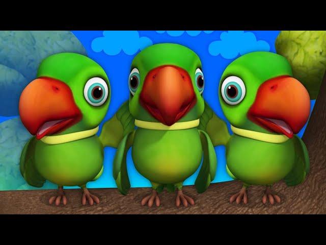 Main Tota Main Tota | Main Tota Hare Rang Ka | Hindi Rhymes | Hindi nursery rhymes