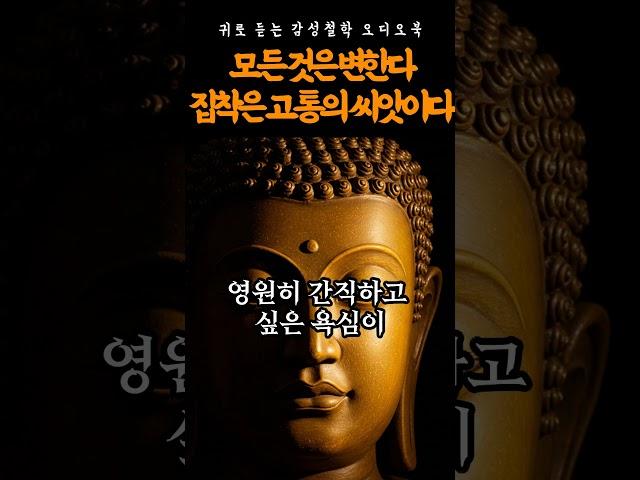 [마음 명상] 모든 것은 변합니다, 집착은 고통의 씨앗입니다 | 부처님 말씀