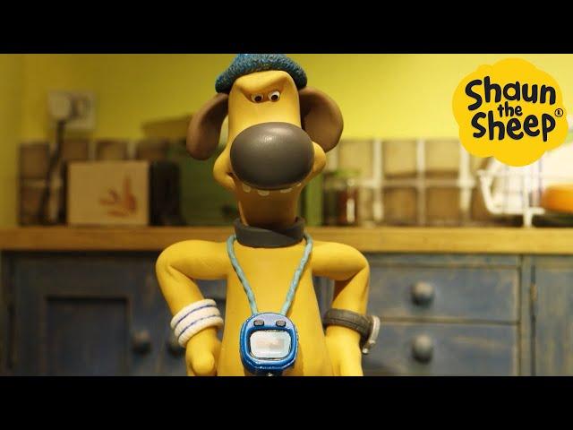 Shaun the Sheep  Bitzer in Charge - Cartoons for Kids  Full Episodes Compilation [1 hour]