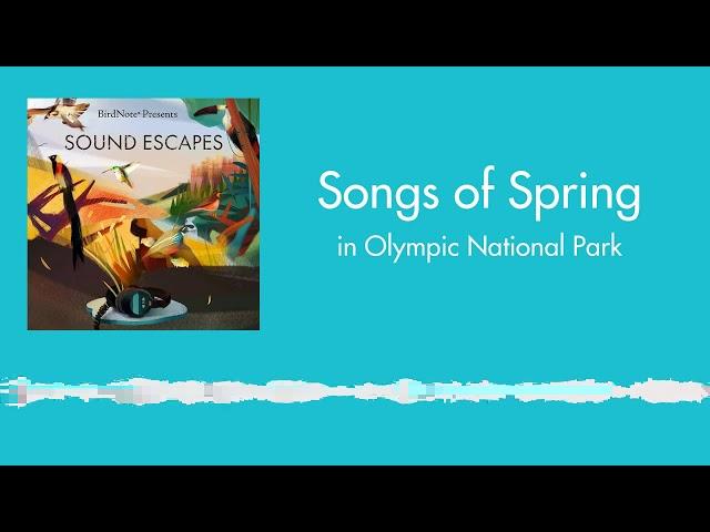 Sound Escapes: Songs of Spring