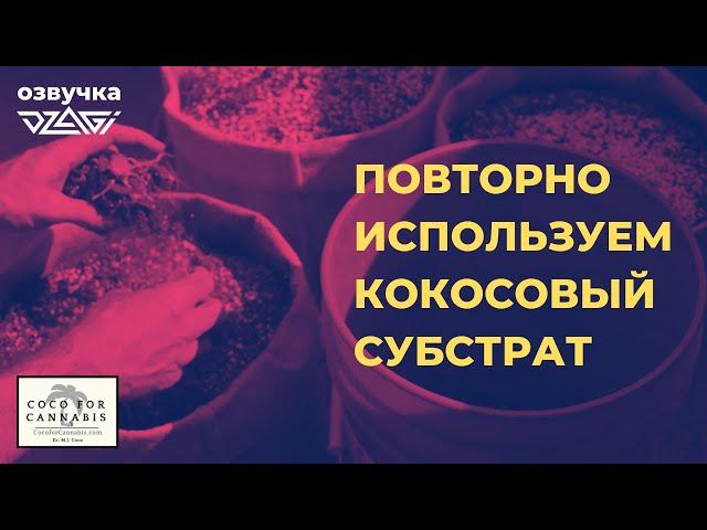 Повторно используем кокосовый субстрат | озвучка Dzagi