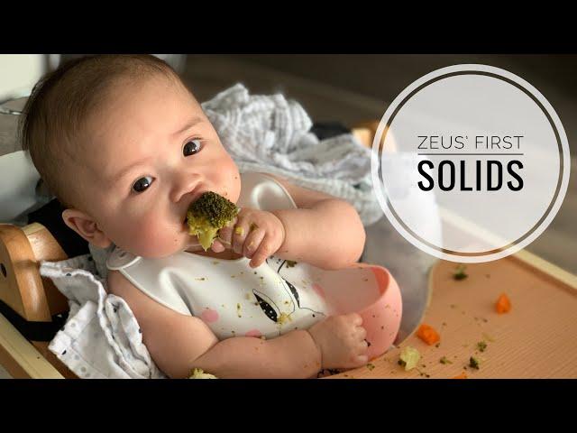 Zeus Eats | Baby Led Weaning (Day 1&2) | 6 months | Zeus, the Baby Vlogger