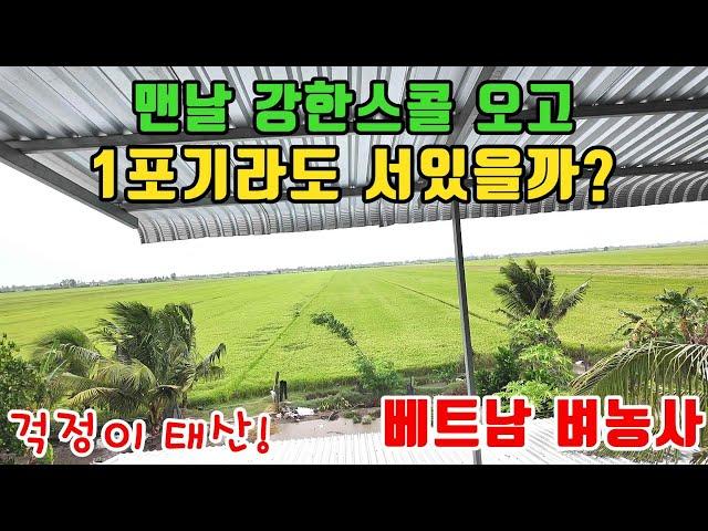 베트남시골 라이프 3년차 최대위기 (kiengiangtv)