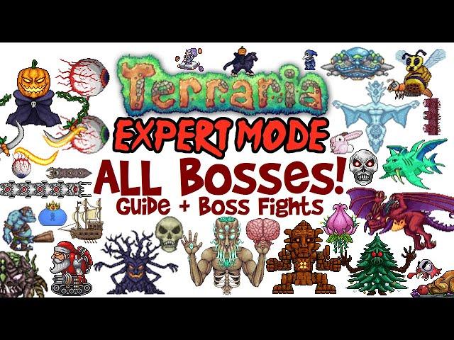 Terraria All Bosses In Order Expert Mode Guide & Fights! (Easiest to Hardest, How to Spawn Them)