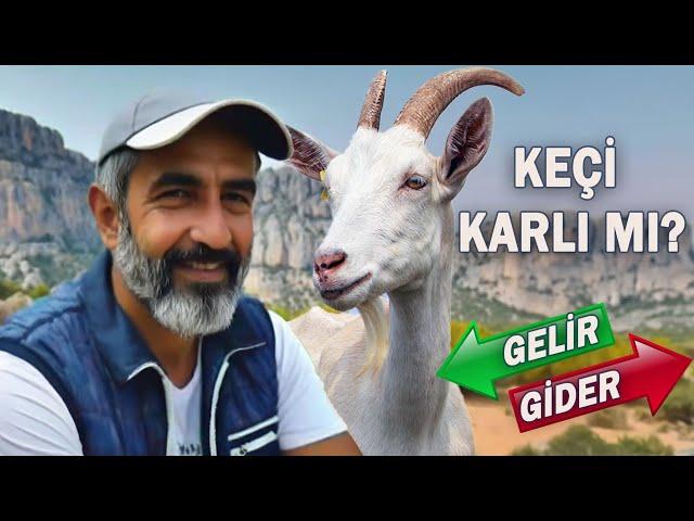 Keçi KAÇ PARA kazandırır? 2024 hesabı